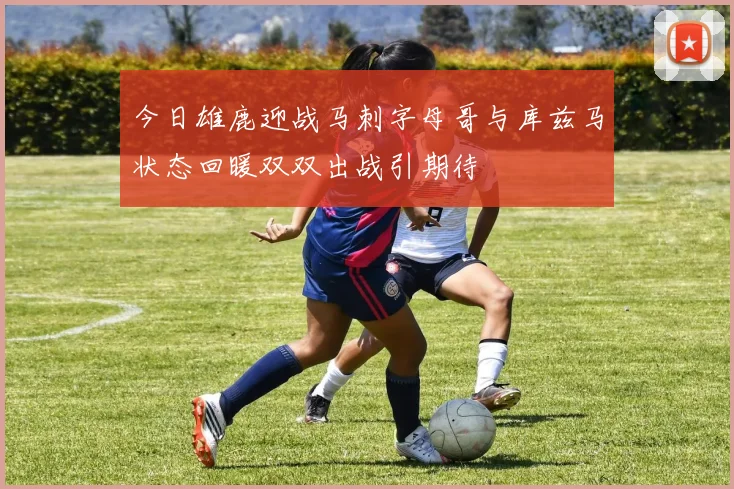 今日雄鹿迎战马刺字母哥与库兹马状态回暖双双出战引期待
