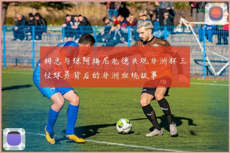 姆总与琼阿梅尼孔德共观非洲杯三位球员背后的非洲血统故事